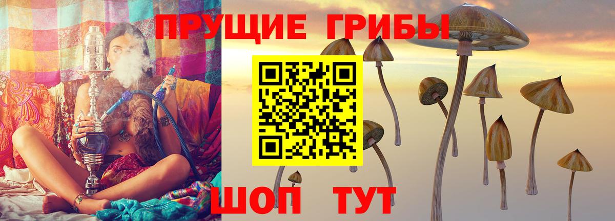 Псилоцибиновые грибы Psilocybine cubensis  Галлюциногенные грибы ЛСД  Пятигорск  Вход с VPN 
