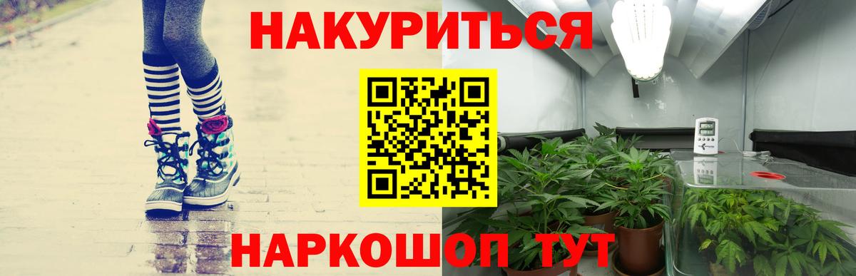 Каннабис Ganja  Вход с VPN  Пятигорск  Канабис сатива  Бошки Шишки гибрид 